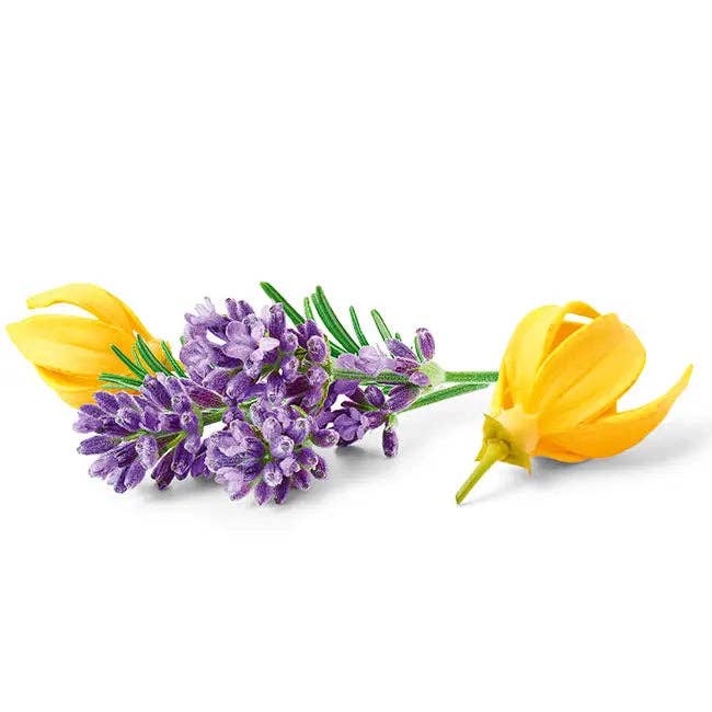 Happy Earth - Happy Earth Natural Deodorant Spray Lavender Ylang 100ml