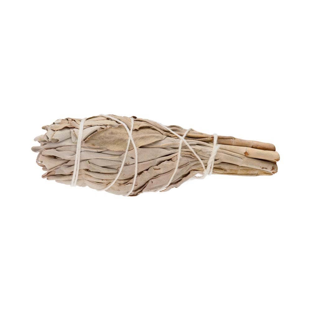 Salvia blanca premium de 10 cm utilizada para rituales de purificación
