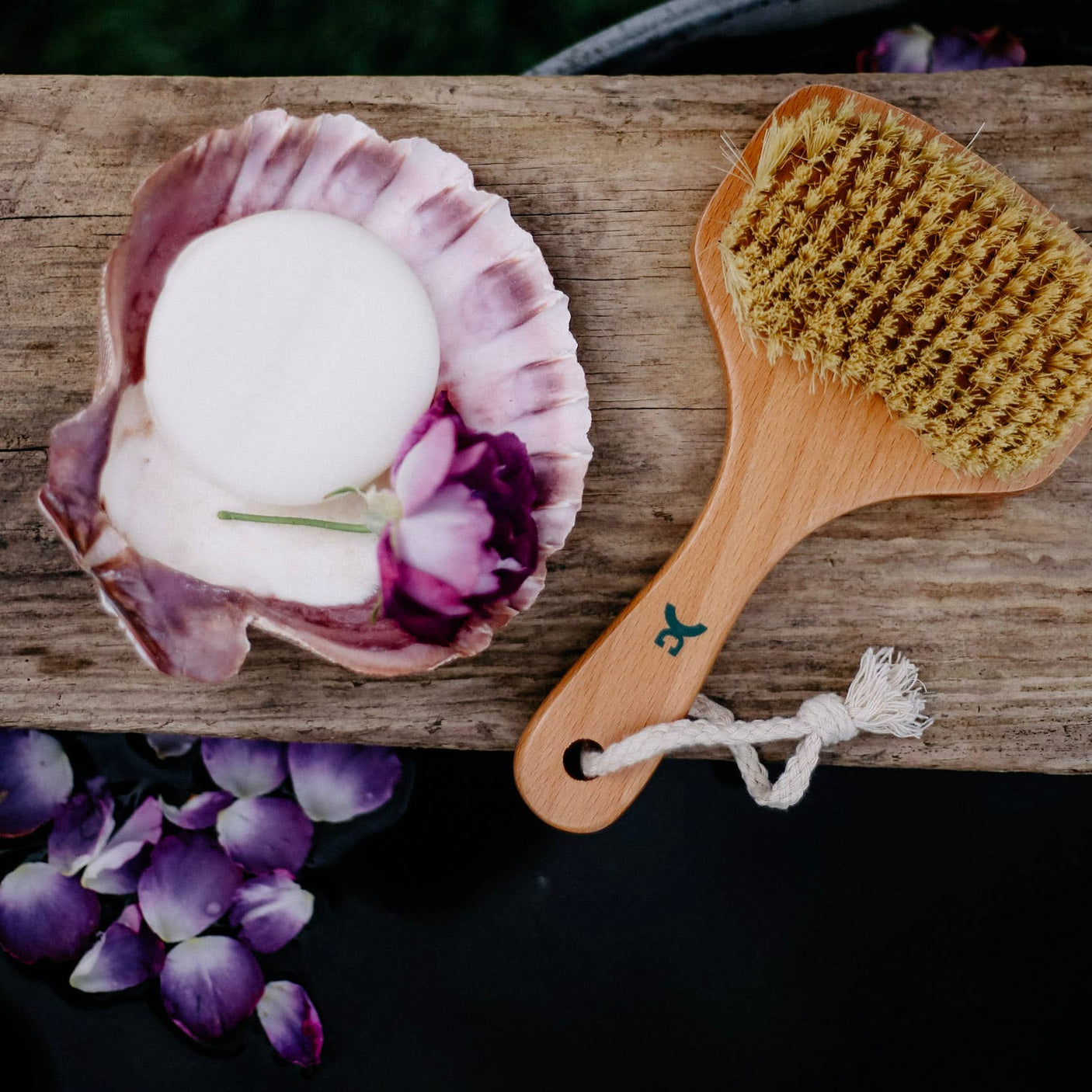 Cepillo vegano para baño y ducha, sauna y spa, regalo de bienestar