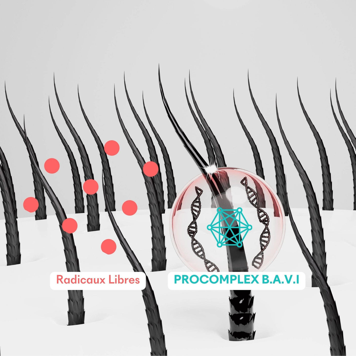 Barro antiedad Tricho-Méla+ 180 ml