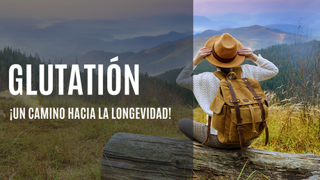 Glutation: ¡Un camino hacia la longevidad!