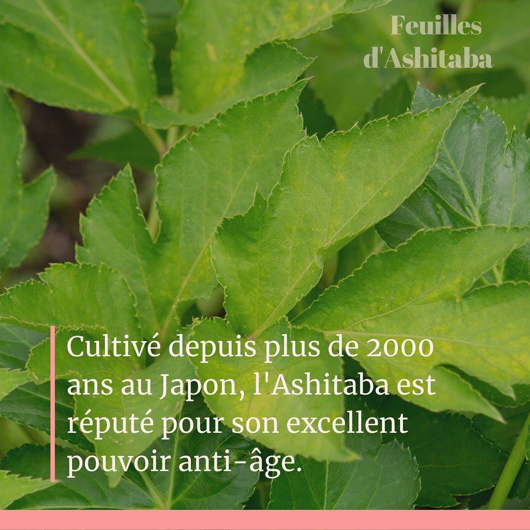 Concentrado facial para jóvenes de Getto-Ashitaba: el secreto de Okinawa 50 ml