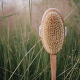 Body brush with handle, wooden massage, maternity, eco spa and wellness