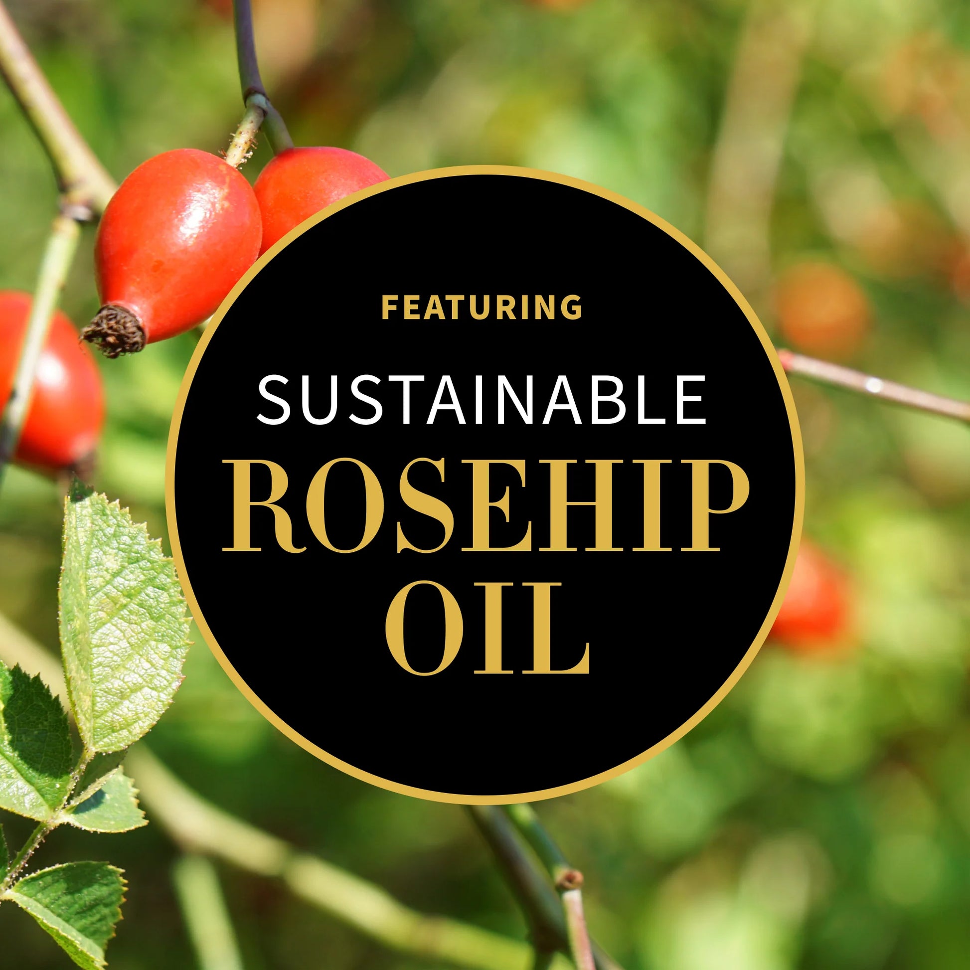 Moisturizing and Anti-aging Day Facial Cream with Rosehip 60ml