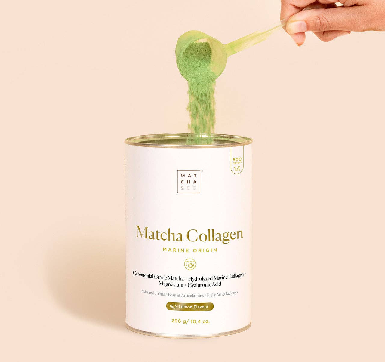 Matcha & CO - Colágeno Marino de Matcha