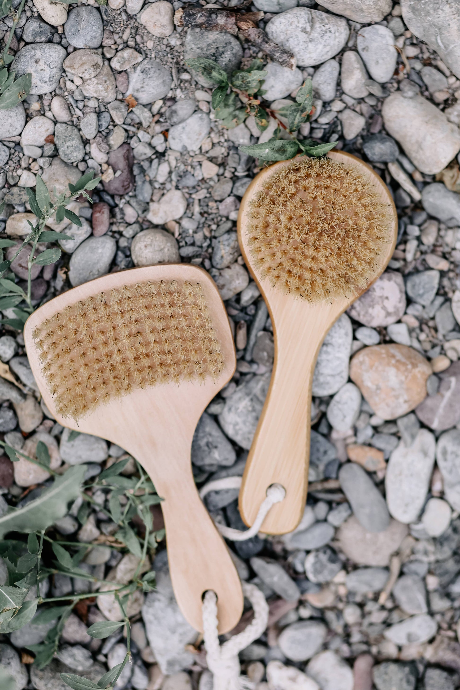 Short-handled wooden body brush