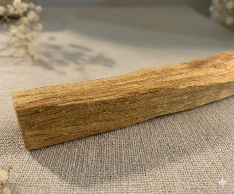 Detalle macro de la veta irregular y rica en aceites esenciales de la madera sagrada de Palo Santo Natural Premium en Biovardi.