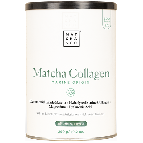 Matcha & CO - Colágeno Marino de Matcha