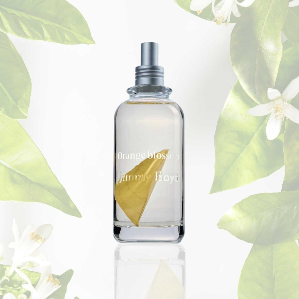 Frasco de Jimmy Boyd Orange Blossom de 200 ml con hoja de naranjo entre flores de azahar