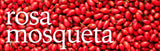 Frutos rojos de rosa mosqueta en imagen oficial de Real Earth Stories